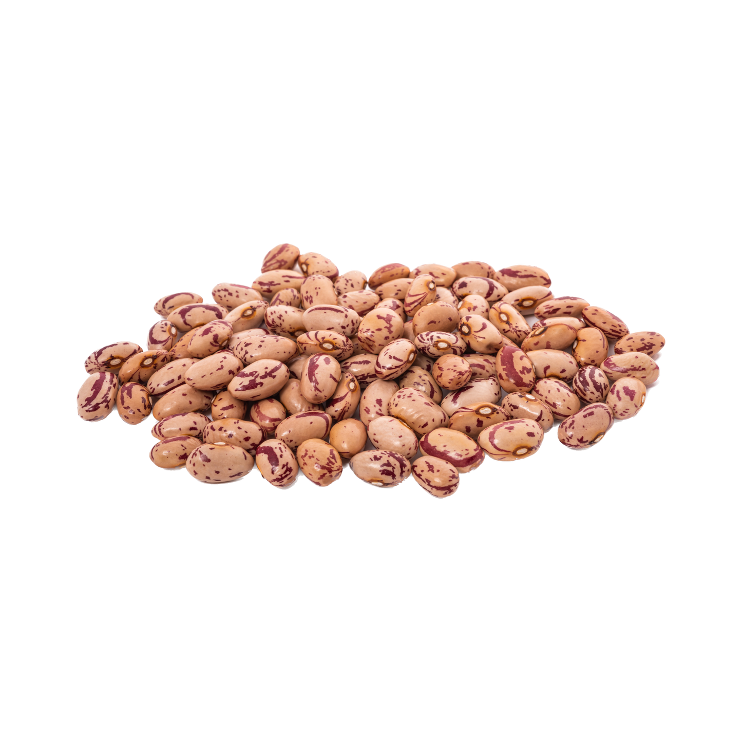 Fagioli Saluggia