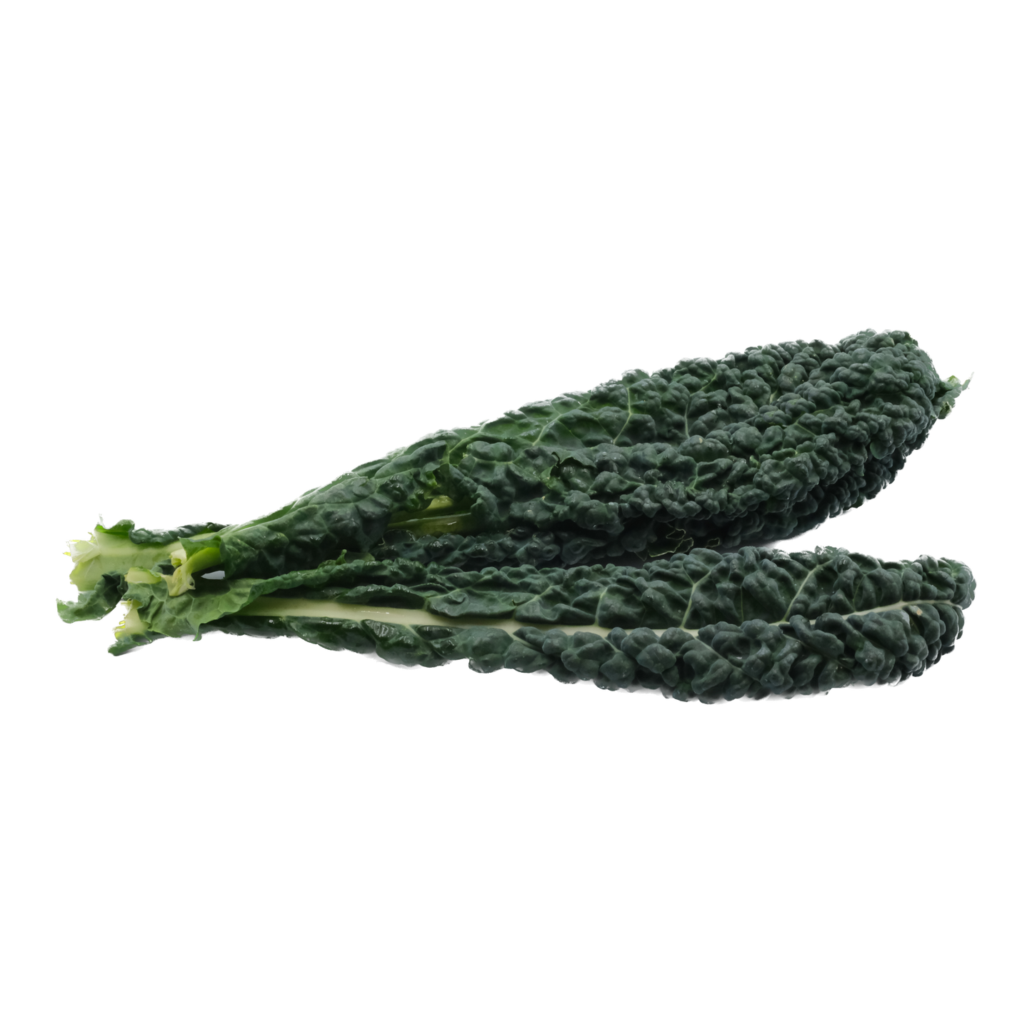 Cavolo nero