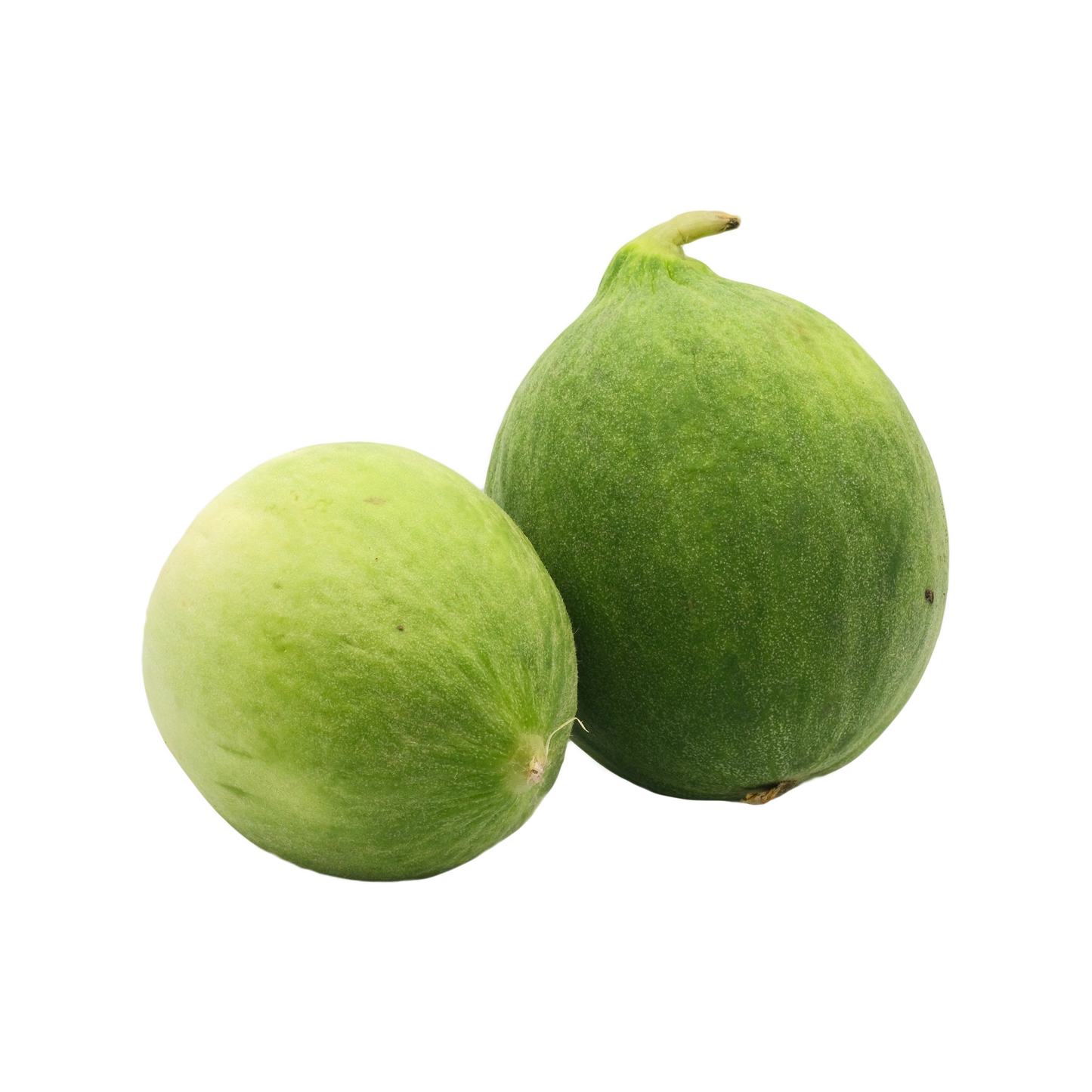 Cetrioli barattino