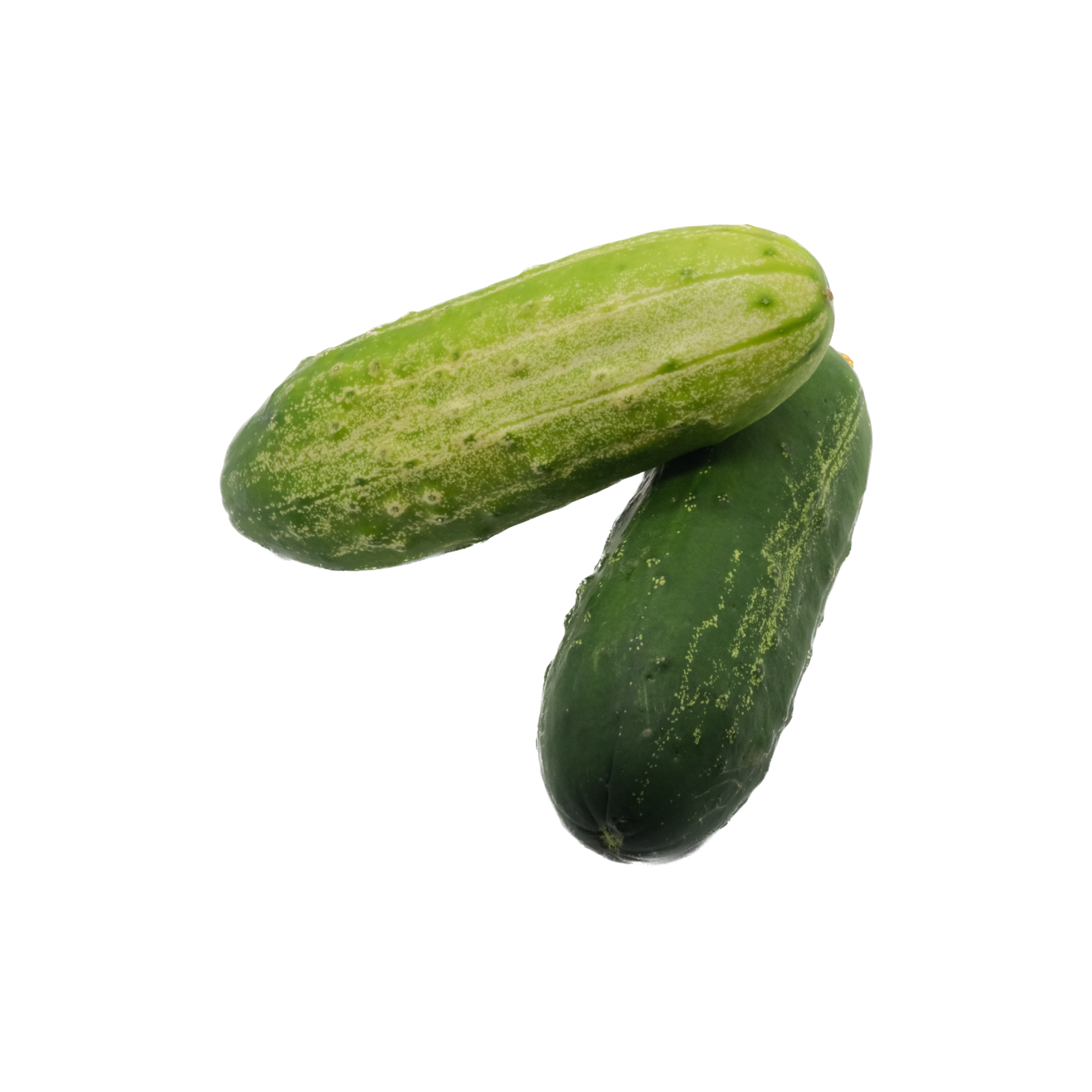 Cetrioli nostrani