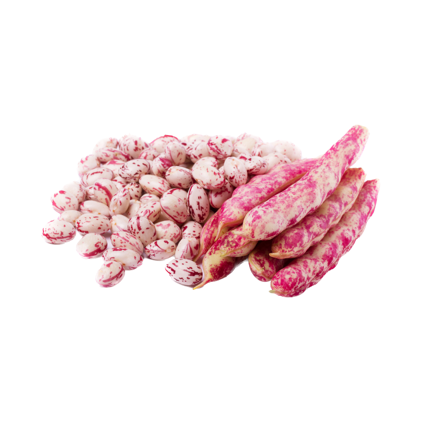 Borlotti freschi da sgranare