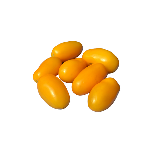 Pomodoro datterino giallo