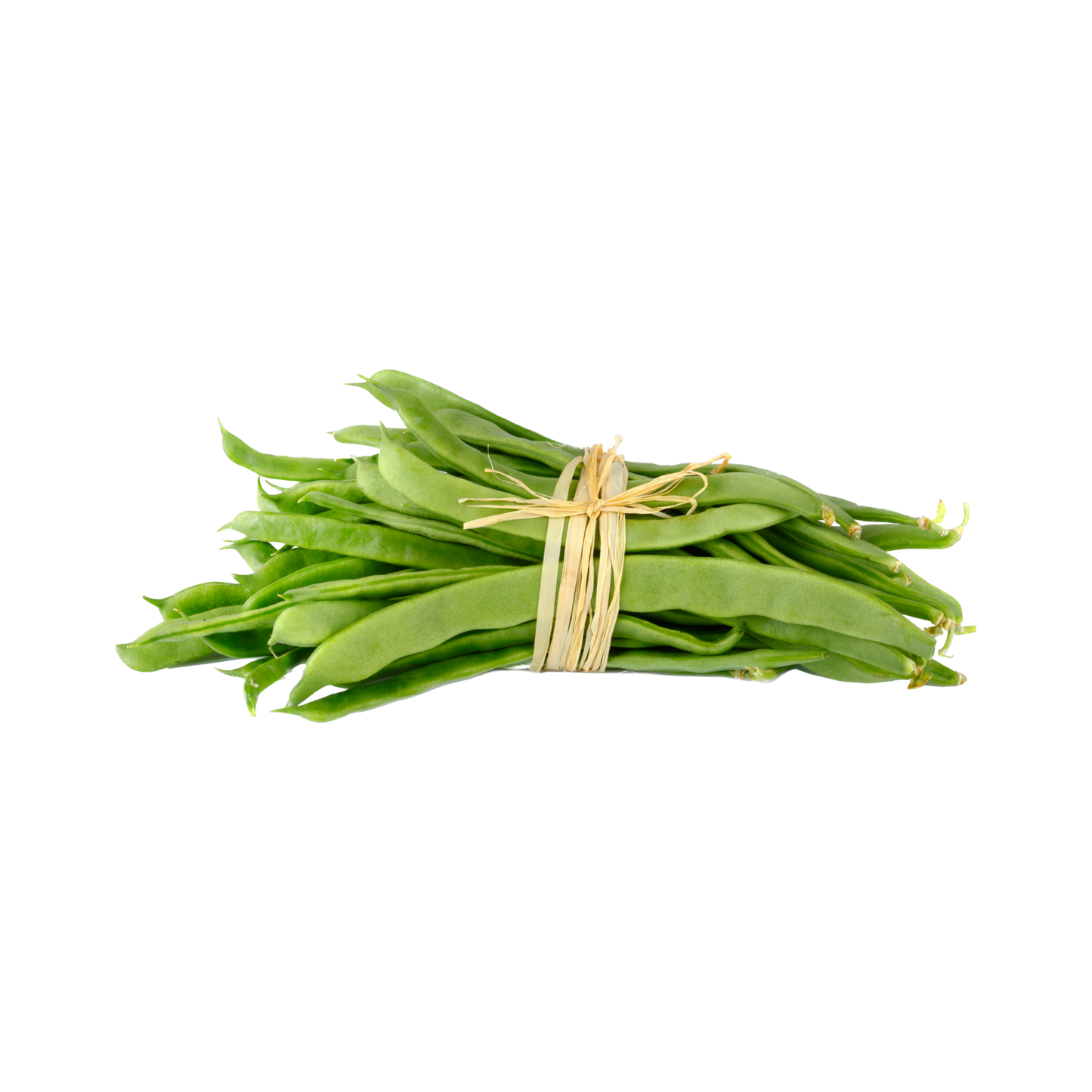 Fagioli Marconi
