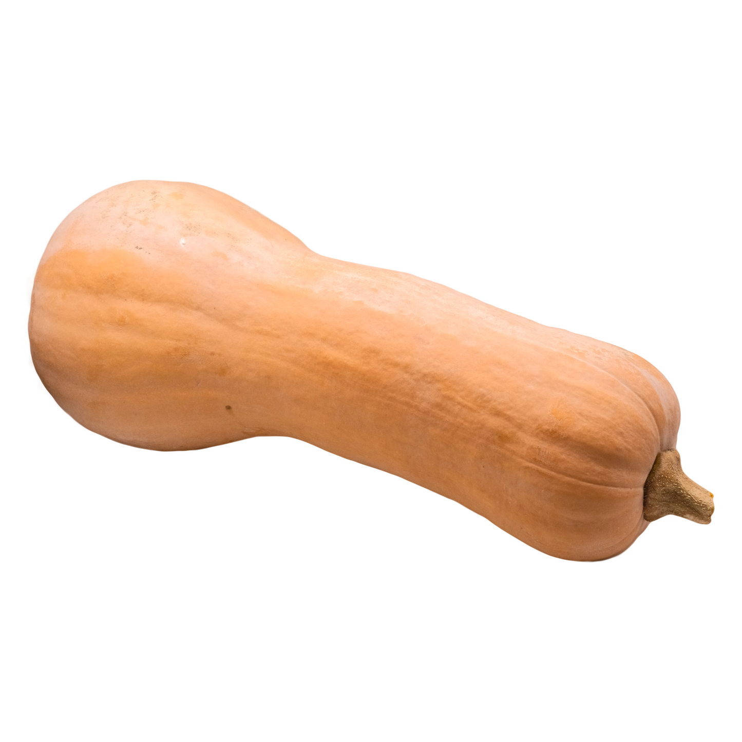 Zucca violino