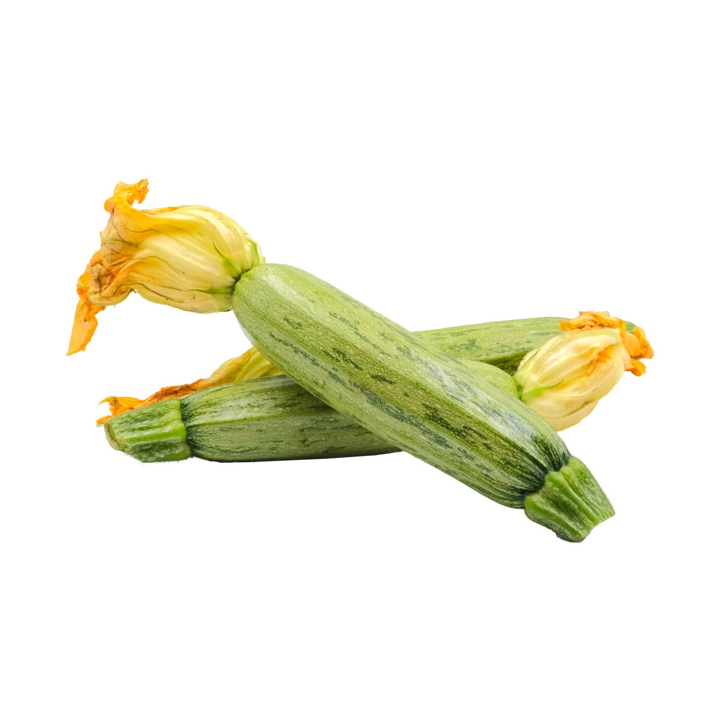 Zucchine chiare extra
