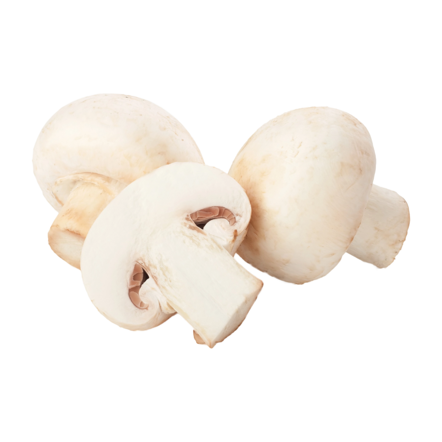 Funghi champignon