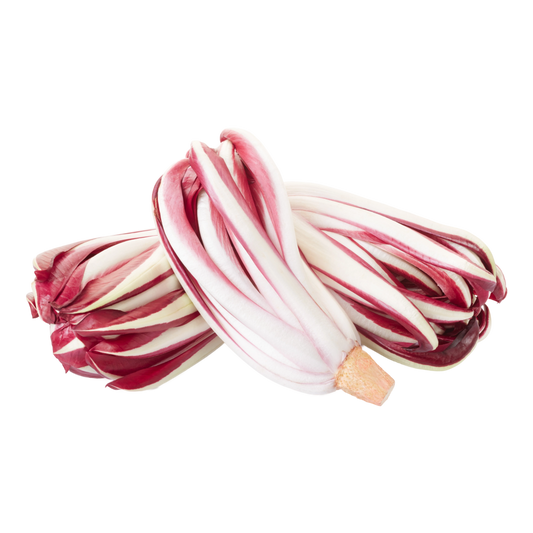 Radicchio tardivo