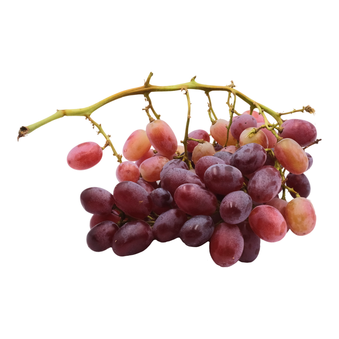 Uva rosata senza semi