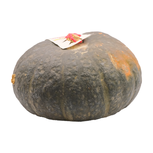 Zucca castagna