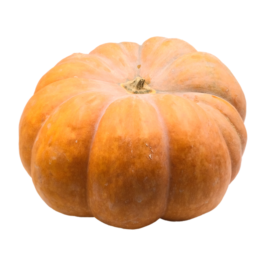 Zucca santa